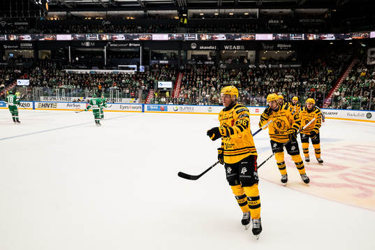 Skellefteås Rickard Hugg jublar