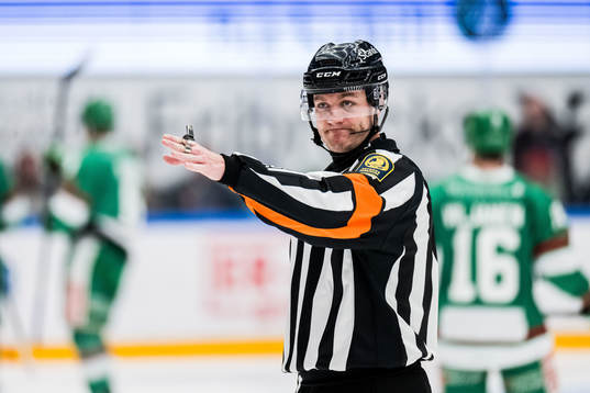 Domare Daniel Eriksson