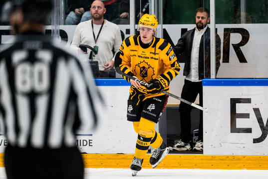 Skellefteås Elias Salomonsson lämnar isen