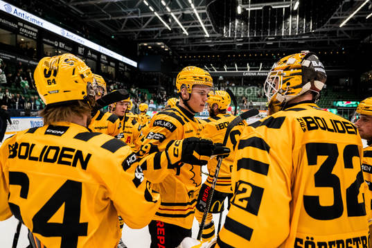 Skellefteås Lukas Vesterlund och målvakt Linus