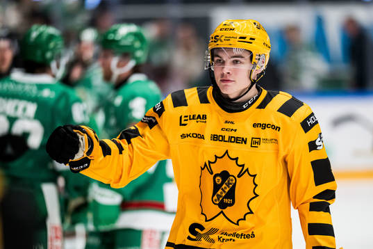 Skellefteås Axel Sandin Pellikka jublar
