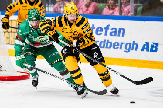 Rögles Simon Ryfors och Skellefteås Oscar Lindberg