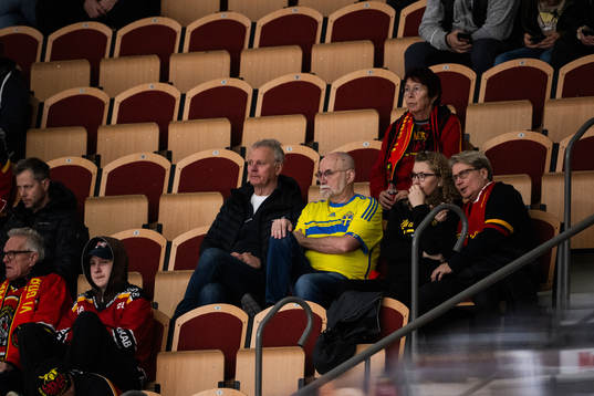 Supporter med svensk landslagströja