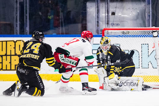 AIKs Arvid Degerstedt och målvakt Tobias Normann