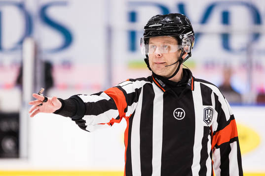 Domare Markus Yngvesson