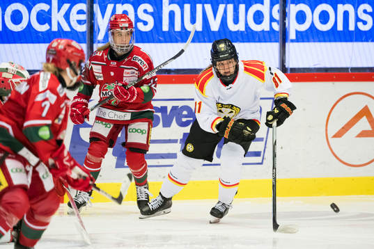 Brynäs Noemi Neubauerova