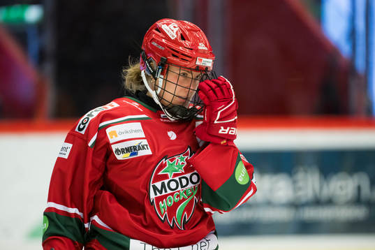 Modos Eve Savander