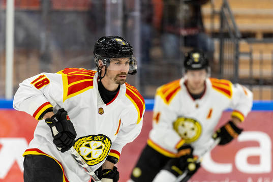 Brynäs Anton Rödin