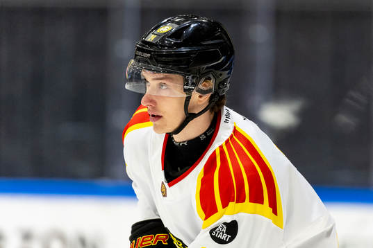 Brynäs Linus Lindblom