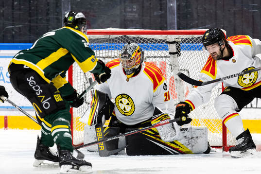 Brynäs målvakt Damian Clara