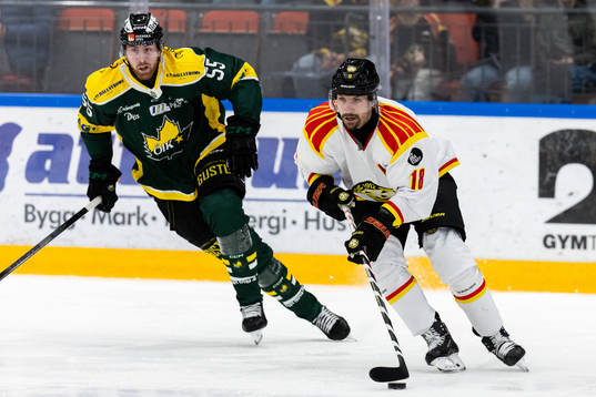 Brynäs Anton Rödin
