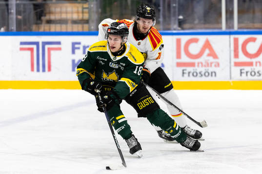 Bläddra bland fler bilder av Ishockey, Hockeyallsvenskan, Östersund - Brynäs
