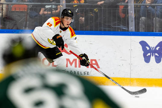 Brynäs Noel Nordh
