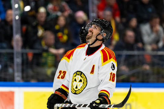 Brynäs Anton Rödin