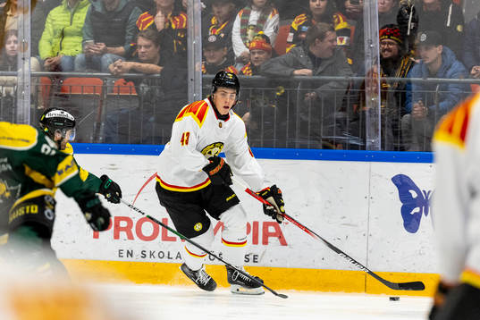 Brynäs Noel Nordh