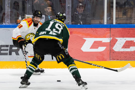 Brynäs Anton Rödin
