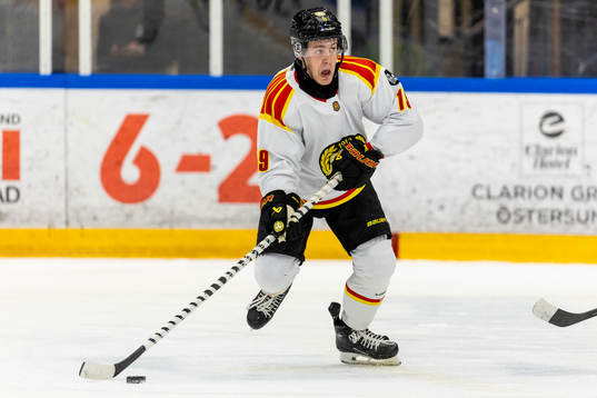 Brynäs Tyler Kelleher