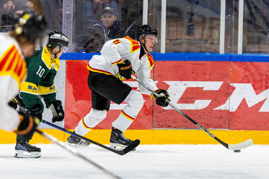 Brynäs Oliver Tärnström