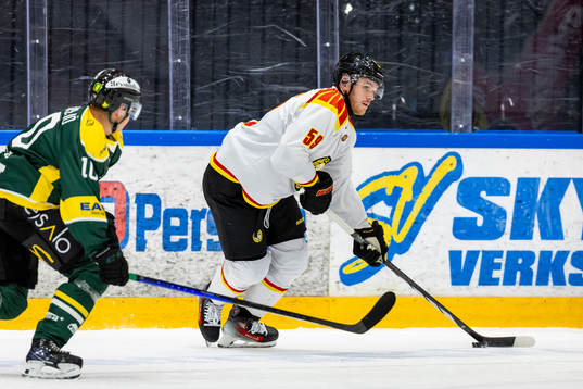 Brynäs Karlis Cukste