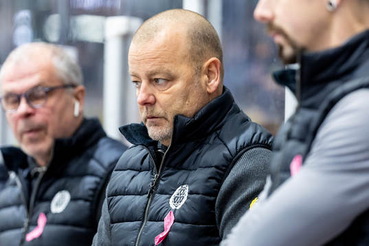 Brynäs huvudtränare Niklas Gällstedt