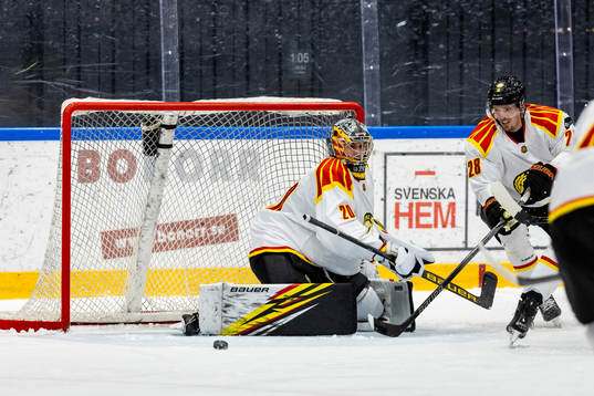 Brynäs målvakt Damian Clara