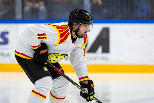 Brynäs Simon Bertilsson