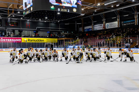 Brynäs spelare