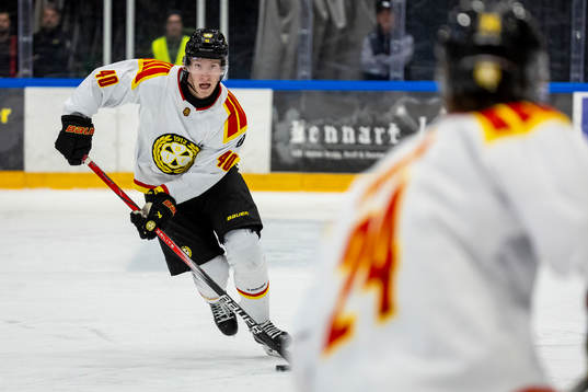 Brynäs Anton Ohlsson