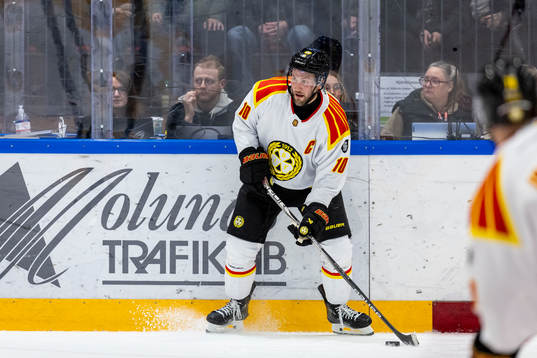 Brynäs Johan Larsson
