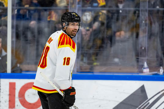 Brynäs Anton Rödin