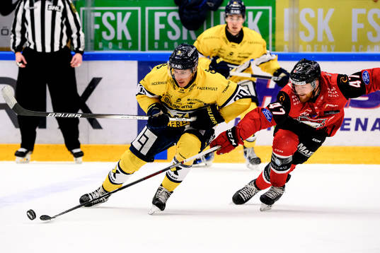 HV71s André Petersson och Malmö Redhawks Joakim Ryan