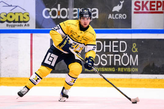 HV71s Robert Nardella