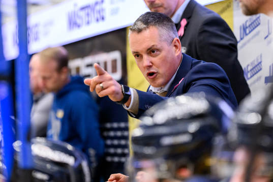 HV71s tränare Tomas Montén
