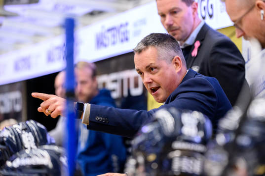 HV71s tränare Tomas Montén