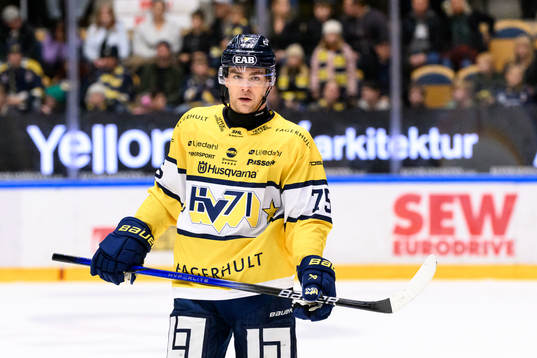 HV71s Radan Lenc deppar