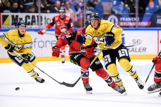HV71s Måns Lindbäck