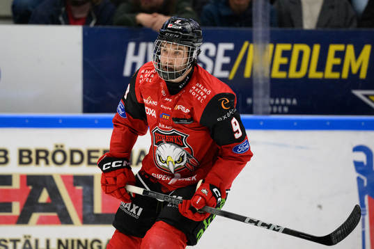 Malmö Redhawks Alan Quine