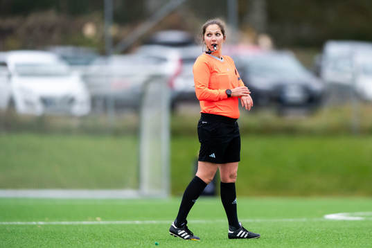 Domare Ulrica Löv