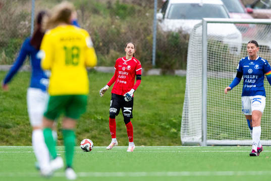 Trelleborgs målvakt Somea Polozen