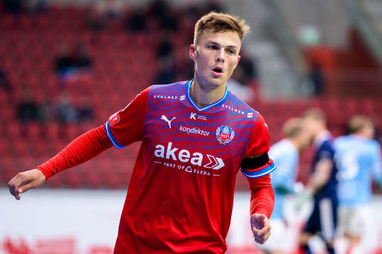 Helsingborgs Erik Ring