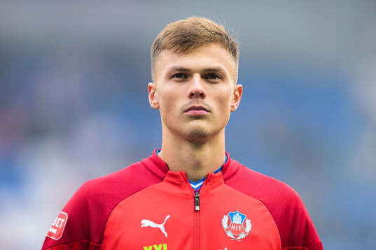Helsingborgs Erik Ring