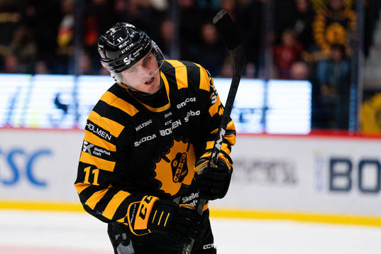 Skellefteås Max Lindholm deppar
