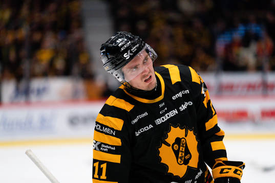 Skellefteås Max Lindholm deppar