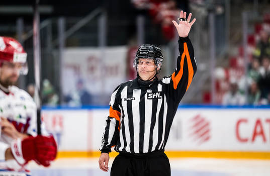 Domare Mikael Nord