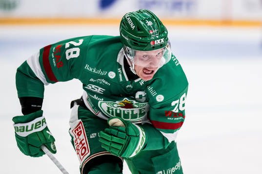 Rögle BKs Anton Bengtsson