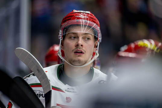 MoDos Sampo Ranta deppar