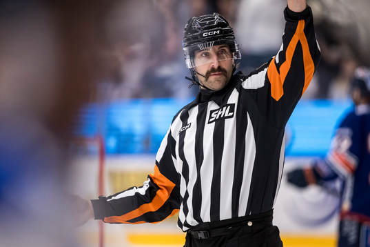 Domare Mikael Sjöqvist