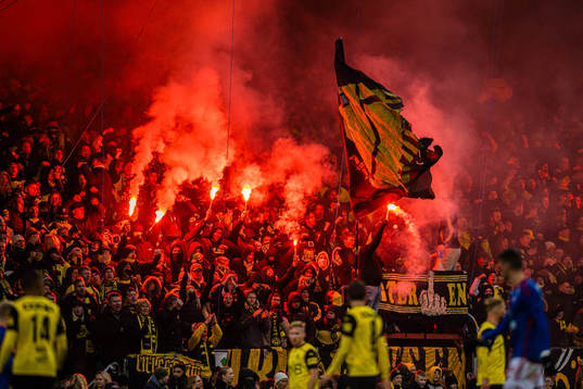 Spectators in the stands