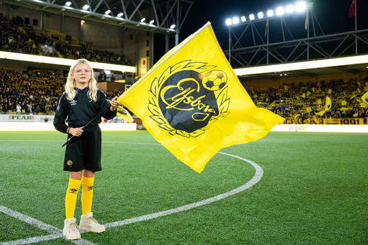 Flagg bärare på planen