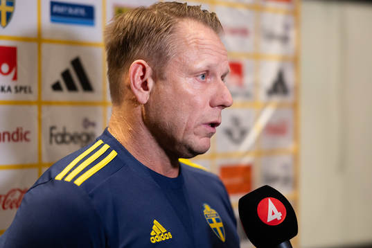 Head of security Stefan Dejemyr of Sweden is interviewed at